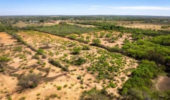 4246 Rakowitz Rd, Adkins, TX 78101