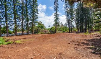 2175 Kauhikoa Rd Lot 7, Haiku, HI 96708