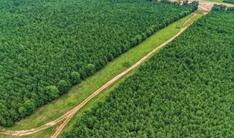 Harry Priddy Road, Americus, GA 31719