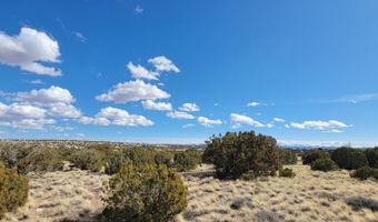 56 County Rd, Concho, AZ 85924