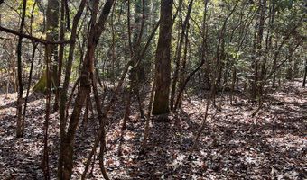 Chief Rd, Abbeville, AL 36310