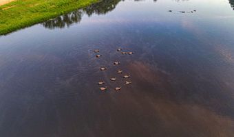 6152 County Road O-527, Ava, MO 65608
