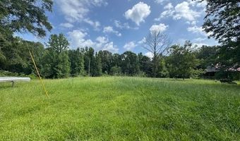 148 Butler Dr, Braxton, MS 39044