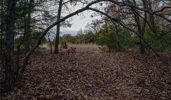 Tract 1 Acme RD, Asher, OK 74826