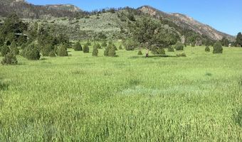 229 Rustic Rd, Bellvue, CO 80512