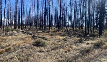 0 Bull Pine Rd 4, Bly, OR 97622