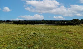 Tbd Tract 4 Fm-2819, Anderson, TX 77830