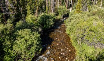 76 Barber Lake Rd, Centennial, WY 82055