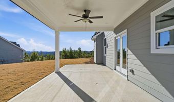 603 Madison Ct, Ball Ground, GA 30107