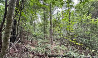 0 LA Hwy 442, Albany, LA 70711