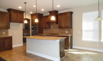 1043 Enchanted Rock Dr, Allen, TX 75013