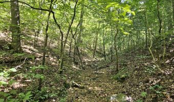 65 Acres Plainview Rd, Anderson, MO 64831