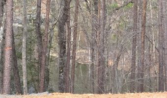 Whisper Lake Drive 121, Badin Lake, NC 28127