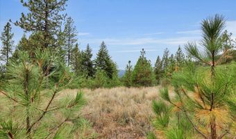 1571 Stone, Blanchard, ID 83804