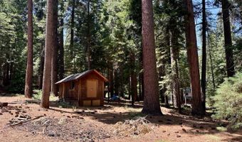 2893 Zuni Dr, Arnold, CA 95223