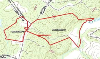 00 Willas Gap Rd 43, Ararat, VA 24053