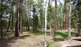 38 CR 2266, Alpine, AZ 85920