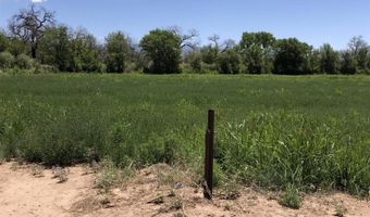 Charlene Lane, Belen, NM 87002