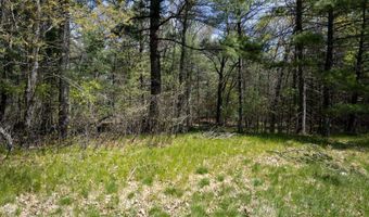 S Badger Lane lot 38, Arkdale, WI 54613