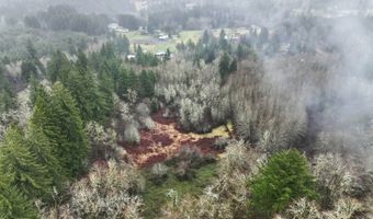 NE 197th Ct, Amboy, WA 98601