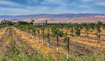 2889 Dapper St, Tracy, CA 95377
