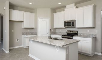 357 Lady Palm St, Apopka, FL 32703