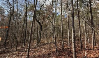 Parksville Road lot 1, Benton, TN 37307