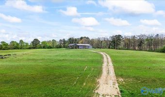 435 Sneadview Rd, Altoona, AL 35952