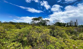 9 TH AVE KALAUNU, Keaau, HI 96749