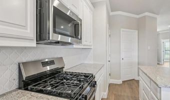 1033 Nighthawk Trl, Alvarado, TX 76009