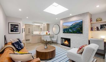 100 E Dean St 3B, Aspen, CO 81611