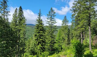 NNA Snowcat Lane, Bonners Ferry, ID 83805