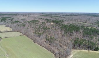 Tract 8 State Route 225, Bethel Springs, TN 38315