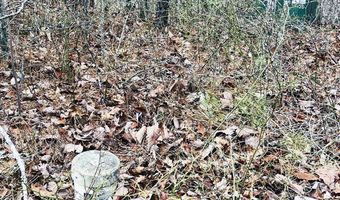 1441 Valley View Heights Ln Lot 3, Andrews, NC 28901