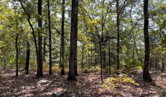 Antlers Road, Antlers, OK 74523