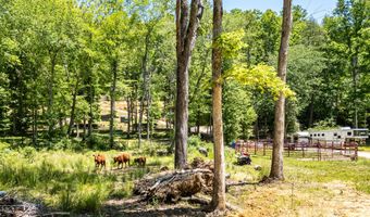 1064 Pinedale Ln, Andrews, NC 28901