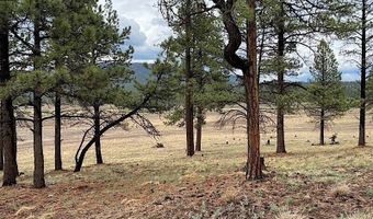 10 County Road N2157, Alpine, AZ 85920