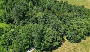 192 Puncheon Creek Ln, Allred, TN 38542