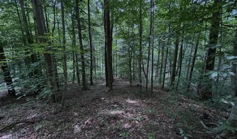 TBD Paint Fork Rd, Barnardsville, NC 28709