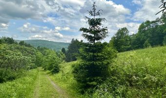 515 Delaware Ave, Andes, NY 13731