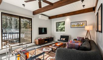 610 S West End St G204, Aspen, CO 81611