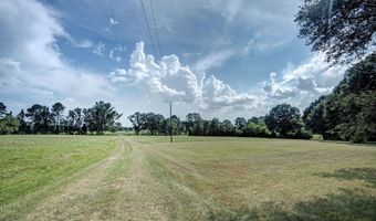 1229 Holly Bush Rd, Brandon, MS 39047