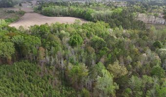 Tract 5 Smith Lane, Bowman, SC 29018