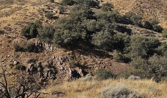 Richter Lane, Acton, CA 93510
