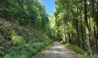 Jacks Knob Road, Barnardsville, NC 28709