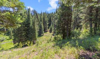 178 Tripod View Dr Lot 7, Cascade, ID 83611