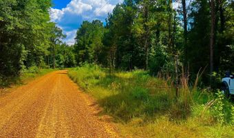 Arthur Drive, Brookhaven, MS 39601