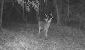 Co Rd 2337, Bay Springs, MS 39422