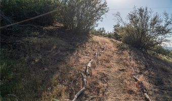 59855 Reynolds Way, Anza, CA 92539