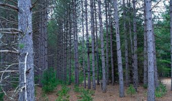 Dover Drive lot 3 +/- 87 Ac, Adams, WI 53910